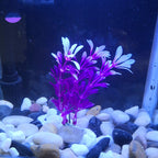 Aquarium Simulation Tank Landscaping Ornaments Plant