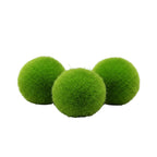 Green marimo balls on a dark substrate