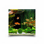 Aquarium with goldfish, plants, and decorative stones with text 'Add a little luster to your aquarium'.
