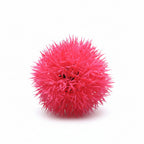 Red sea urchin on pebbles with a dark blue background