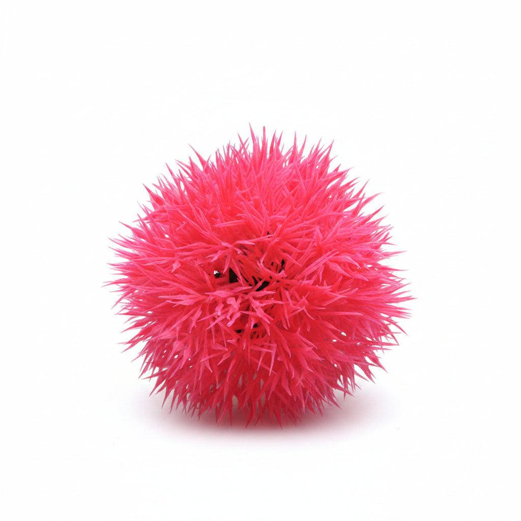 Red sea urchin on pebbles with a dark blue background