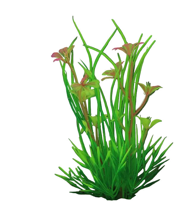 Artificial green plant with Red win flowers on a black background