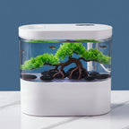 Small aquarium with rocks and fish on a white surface against a blue background