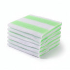 Close-up of a leaf with green veins on a white background