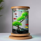 Glass jar with wooden lid and base on a white background