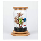 Small glass aquariums with wooden bases and bamboo lids, containing plants and small fish, with dimensions displayed.