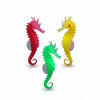 Three colorful seahorses on a dark background with green plants.