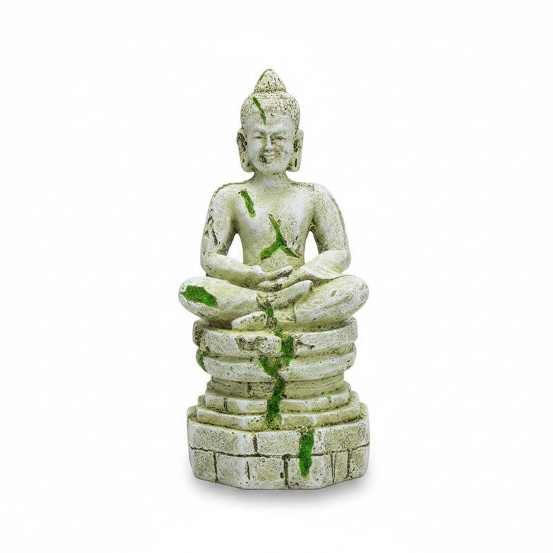 Stone Buddha statue in a natural setting with rocks and plants