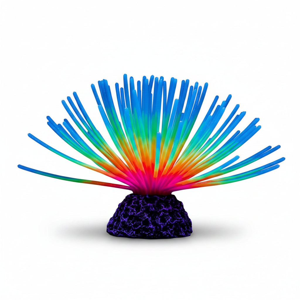 Colorful coral-like structure with blue at the top on a black background