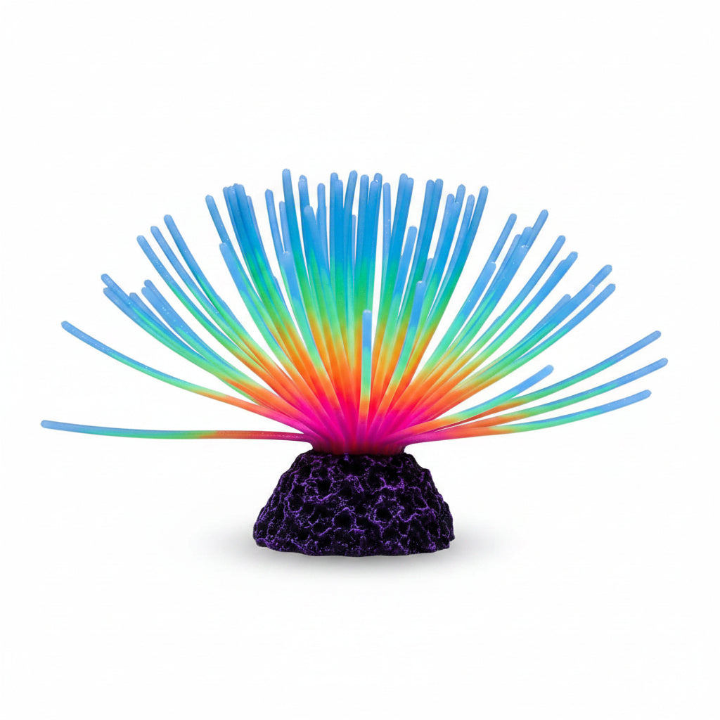 Colorful coral-like structure with blue at the top on a black background
